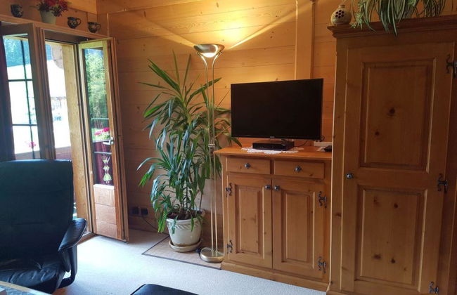 Apartamento de 1 quarto em Saanen - Foto 8