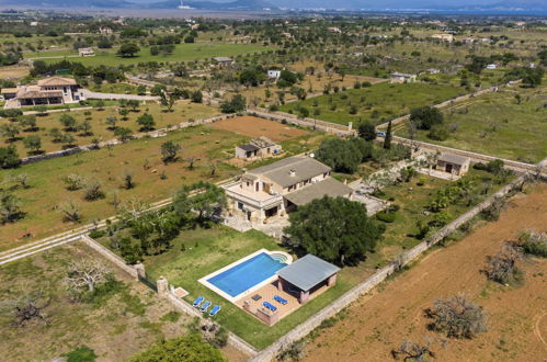 Photo 43 - 4 bedroom House in Santa Margalida with private pool and sea view