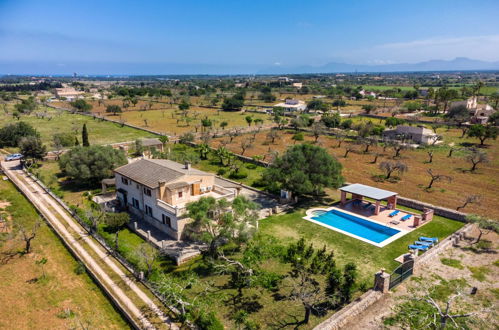 Foto 41 - Casa con 4 camere da letto a Santa Margalida con piscina privata e vista mare
