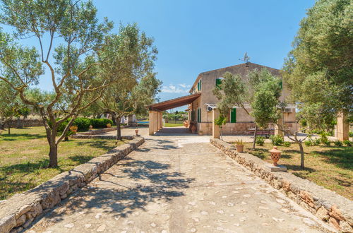 Photo 31 - Maison de 4 chambres à Santa Margalida avec piscine privée et terrasse