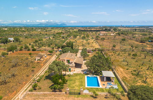 Photo 36 - Maison de 4 chambres à Santa Margalida avec piscine privée et terrasse
