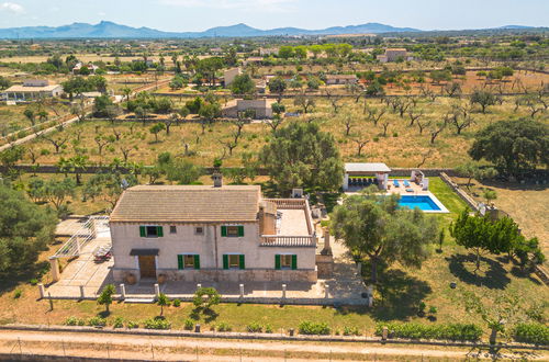 Photo 35 - Maison de 4 chambres à Santa Margalida avec piscine privée et terrasse
