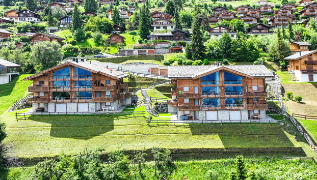 Appartamento con 5 camere da letto a Nendaz - Foto 4