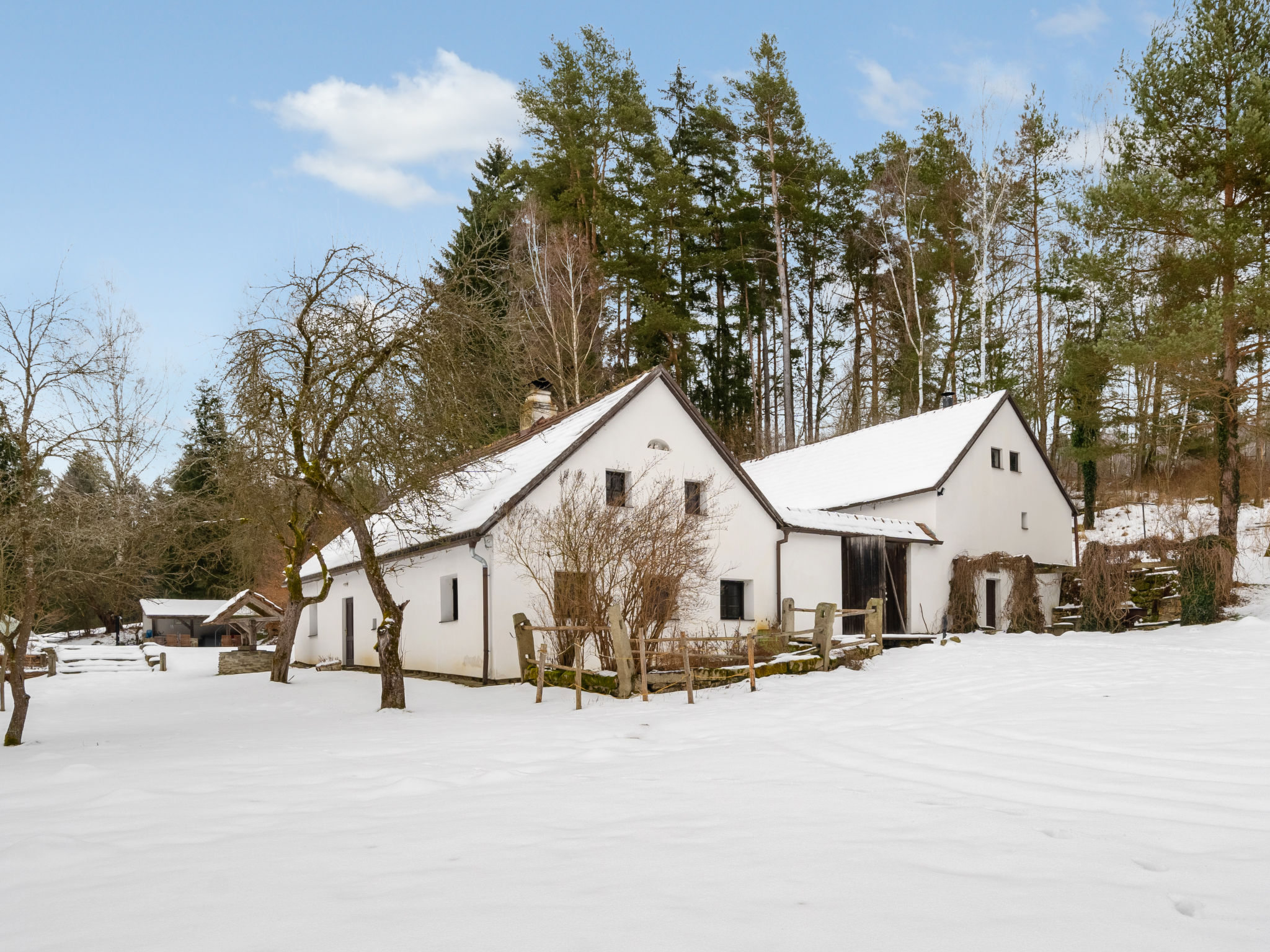 Foto 46 - Haus mit 5 Schlafzimmern in Benešov nad Černou mit privater pool und garten