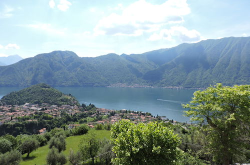 Foto 48 - Appartamento con 2 camere da letto a Tremezzina con piscina e giardino