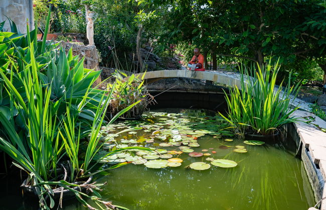 Haus mit 3 Schlafzimmern in Coti-Chiavari mit schwimmbad und garten - Foto 21