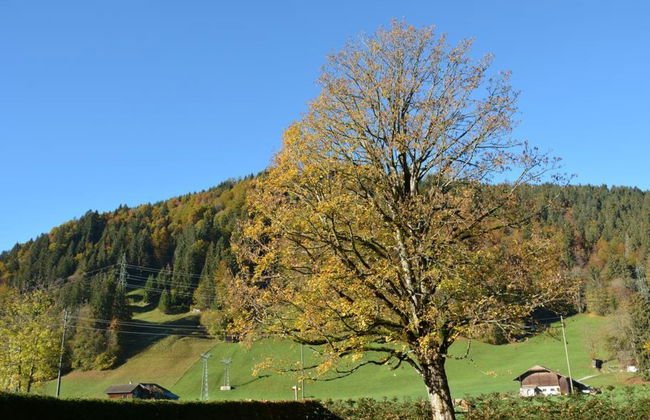 Apartamento de 5 quartos em Saanen - Foto 6