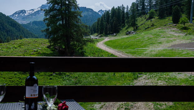 Apartamento de 1 quarto em Nendaz com jardim - Foto 4