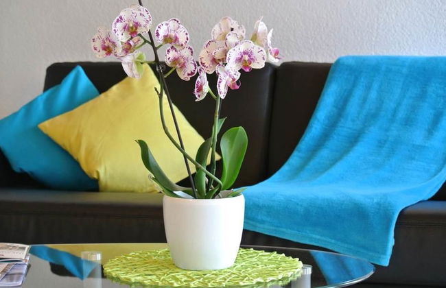 Haus Artemis - Foto 12