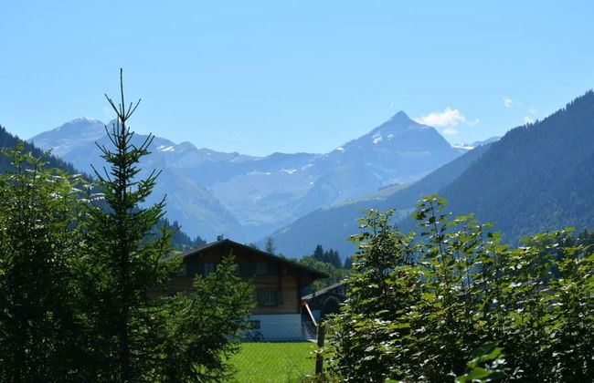 Apartamento de 1 quarto em Saanen - Foto 8