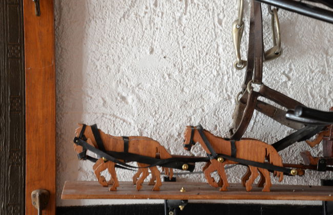 Haus mit 11 Schlafzimmern in Hehlen mit garten und terrasse - Foto 31