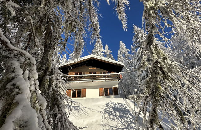 Haus mit 4 Schlafzimmern in Bellwald mit garten - Foto 19