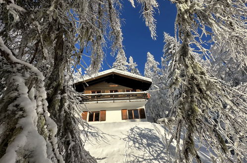 Foto 19 - Casa con 3 camere da letto a Bellwald con vista sulle montagne