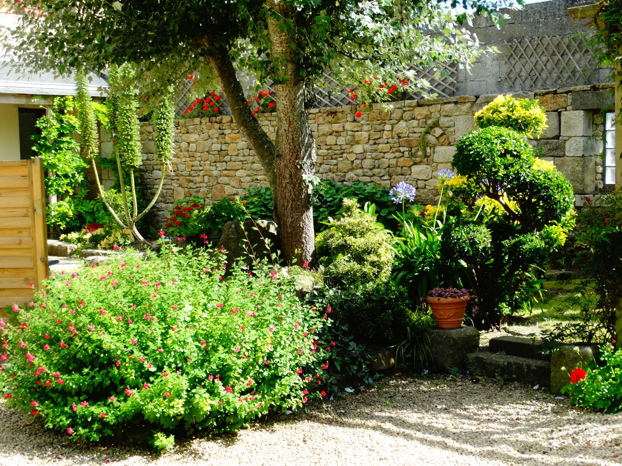 Photo 26 - Maison de 3 chambres à Plouescat avec jardin et vues à la mer