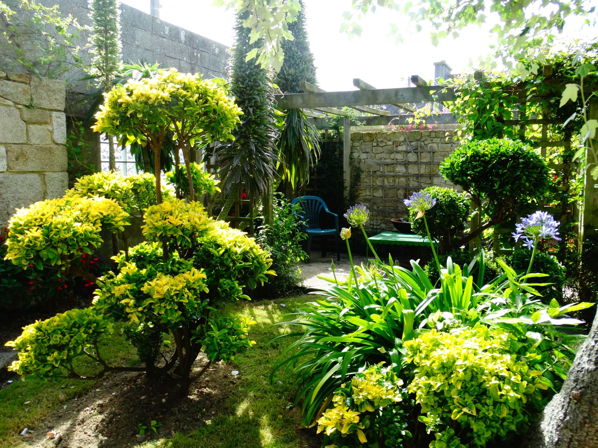 Photo 1 - Maison de 3 chambres à Plouescat avec jardin et vues à la mer