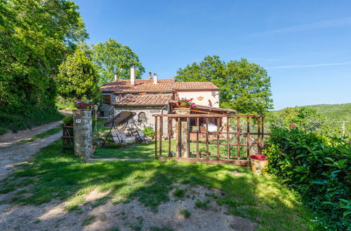 Foto 50 - Casa con 3 camere da letto a Montieri con piscina privata e giardino