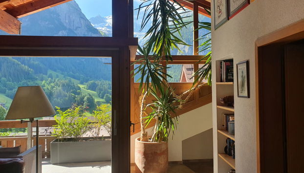 Apartamento de 4 quartos em Grindelwald com jardim - Foto 4
