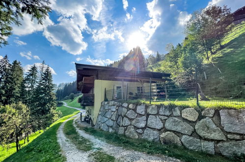 Photo 28 - Appartement de 3 chambres à Hollersbach im Pinzgau avec jardin