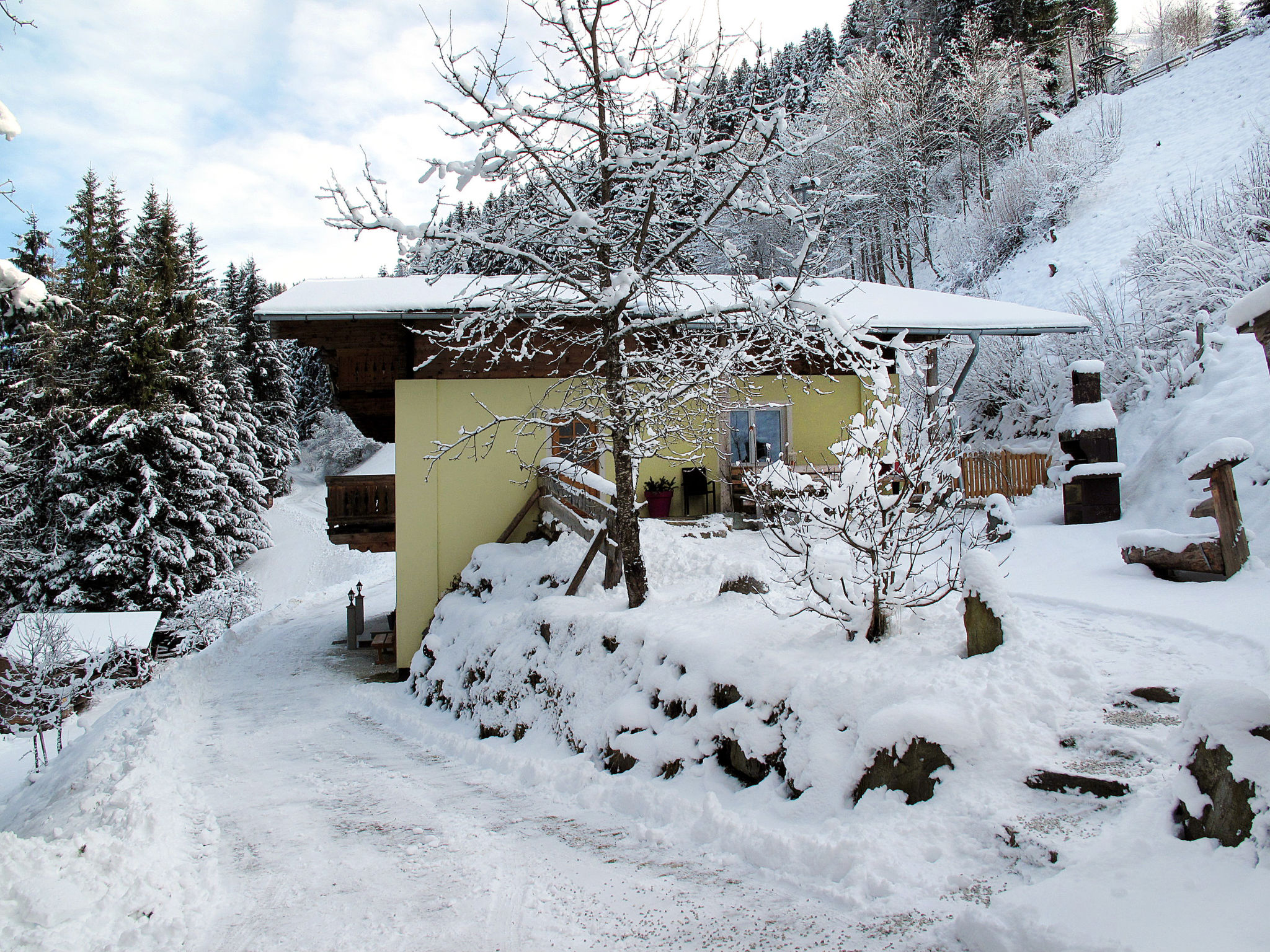 Foto 26 - Apartamento de 3 quartos em Hollersbach im Pinzgau com jardim e vista para a montanha