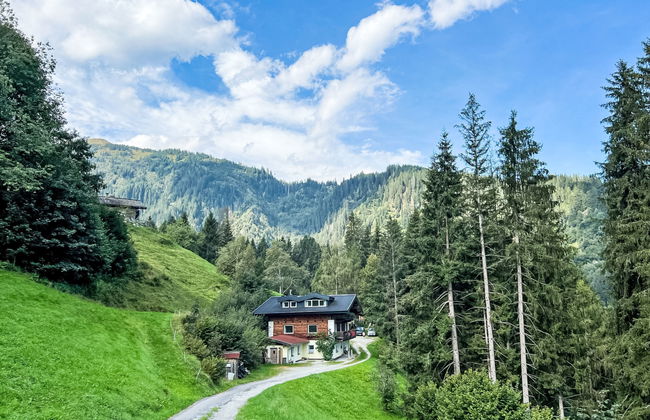 Apartamento de 8 quartos em Hollersbach im Pinzgau com jardim e terraço - Foto 1