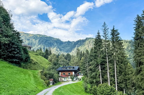 Photo 24 - Appartement de 3 chambres à Hollersbach im Pinzgau avec jardin