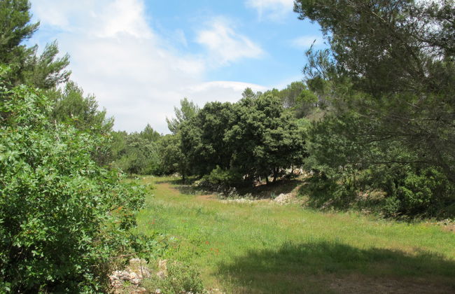 Casa de 5 quartos em Saint-Hilaire-d'Ozilhan com piscina privada e jardim - Foto 41