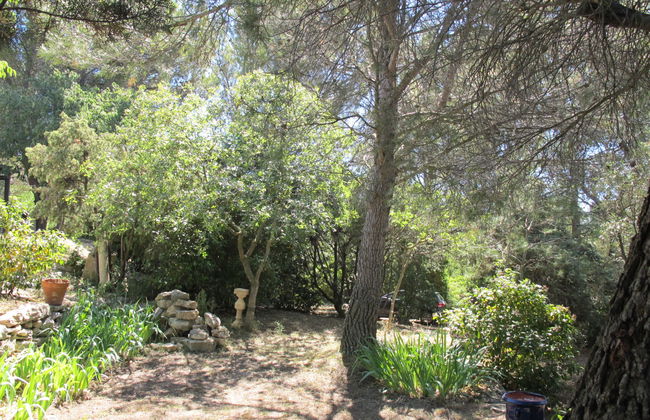 Casa de 5 quartos em Saint-Hilaire-d'Ozilhan com piscina privada e jardim - Foto 40