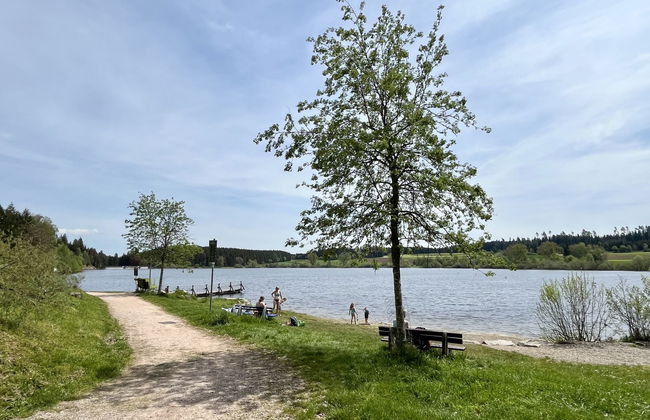Apartamento de 3 quartos em Löffingen com piscina - Foto 27