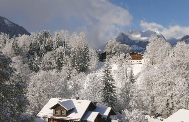 Apartamento de 7 quartos em Saanen - Foto 15