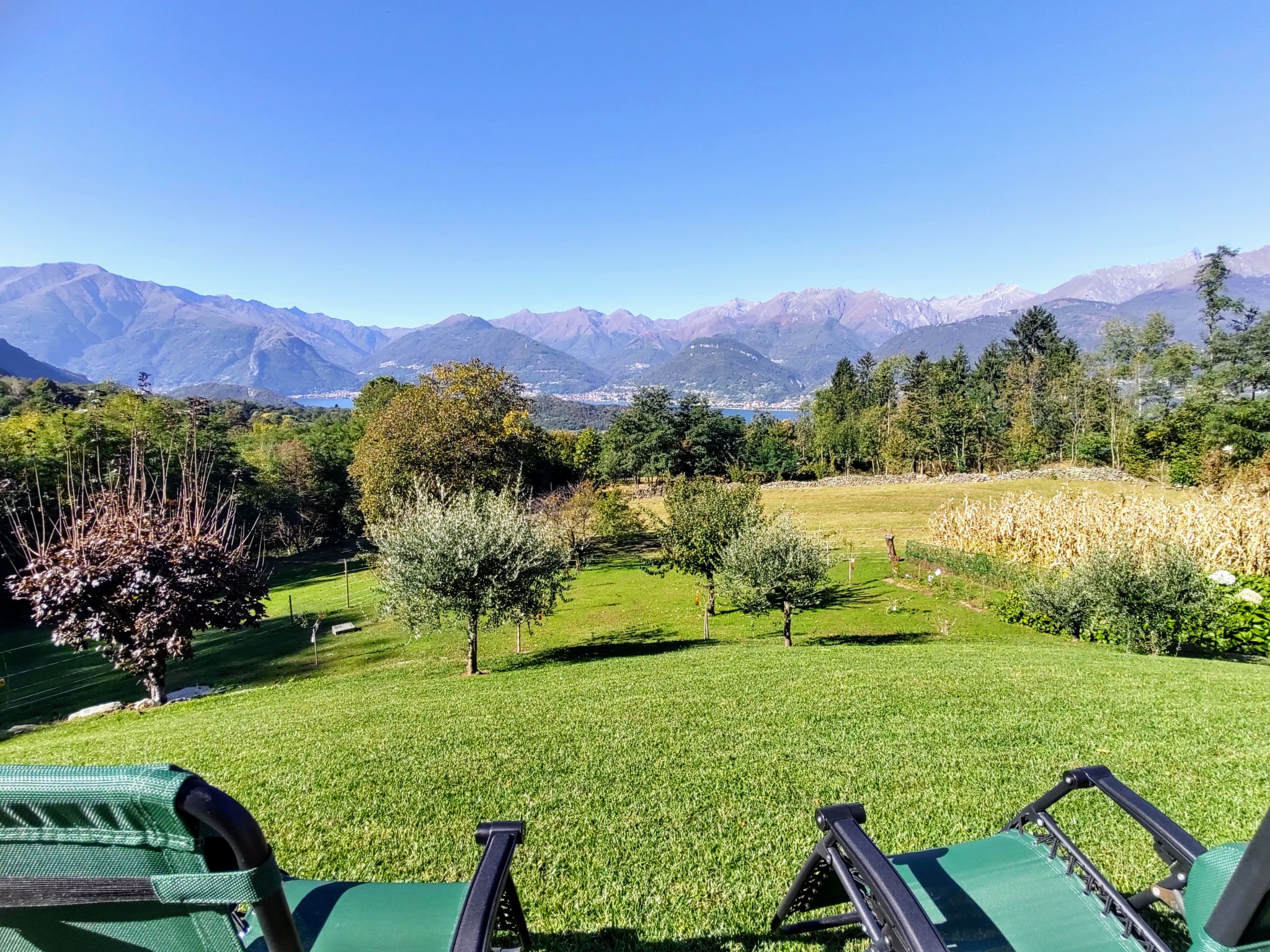 Foto 3 - Appartamento con 1 camera da letto a Colico con giardino e terrazza