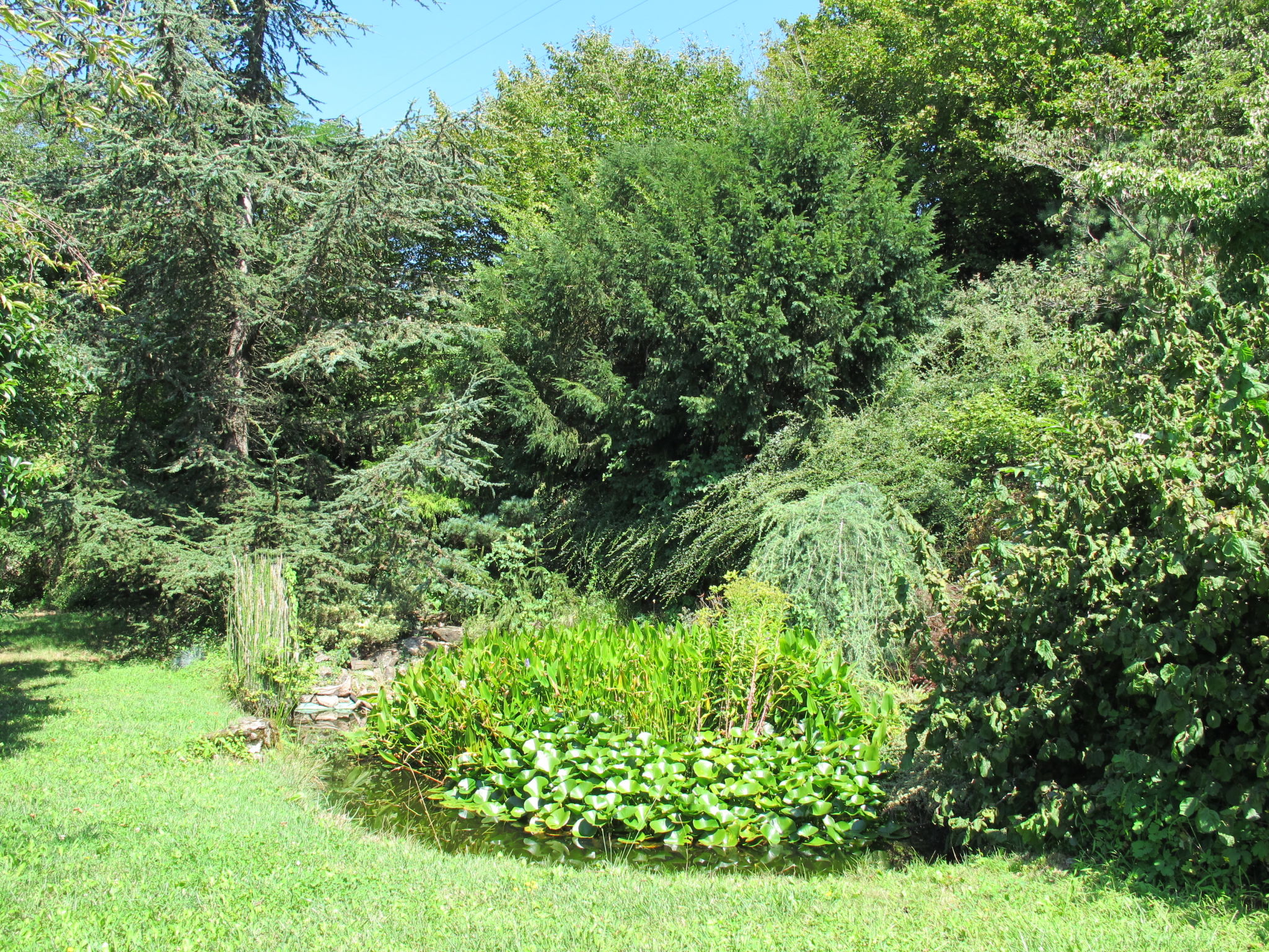 Photo 32 - Appartement de 3 chambres à Pergine Valsugana avec jardin