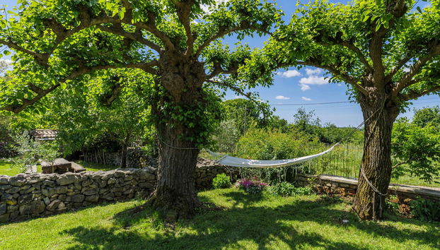 Haus mit 4 Schlafzimmern in Žminj mit privater pool und garten - Foto 3