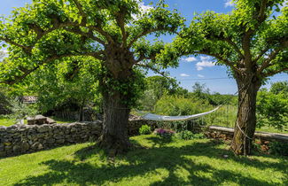 Foto 3 - Casa de 3 quartos em Žminj com piscina privada e jardim