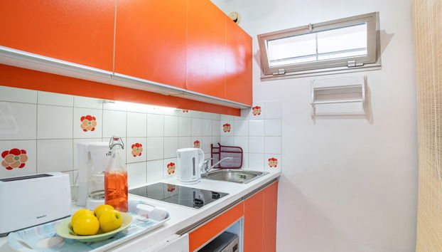 Apartamento de 1 quarto em Villeneuve-Loubet com terraço - Foto 4
