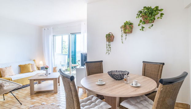 Apartamento de 1 quarto em Villeneuve-Loubet com terraço - Foto 3