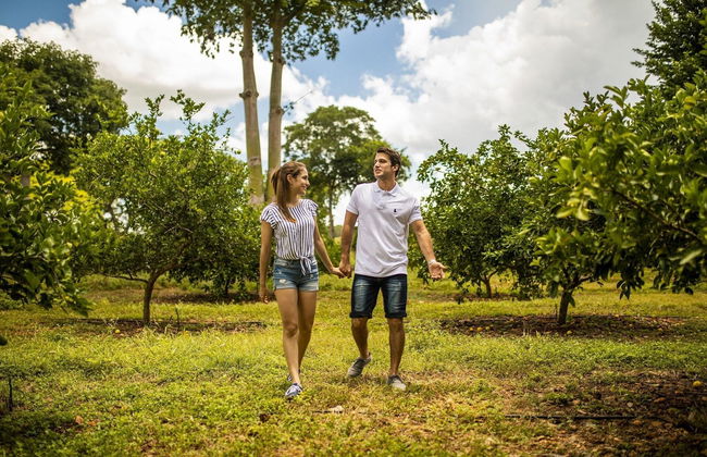 The Lodge at Uxmal - Foto 4