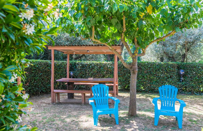 1 bedroom House in San Miniato with swimming pool and garden - Photo 40