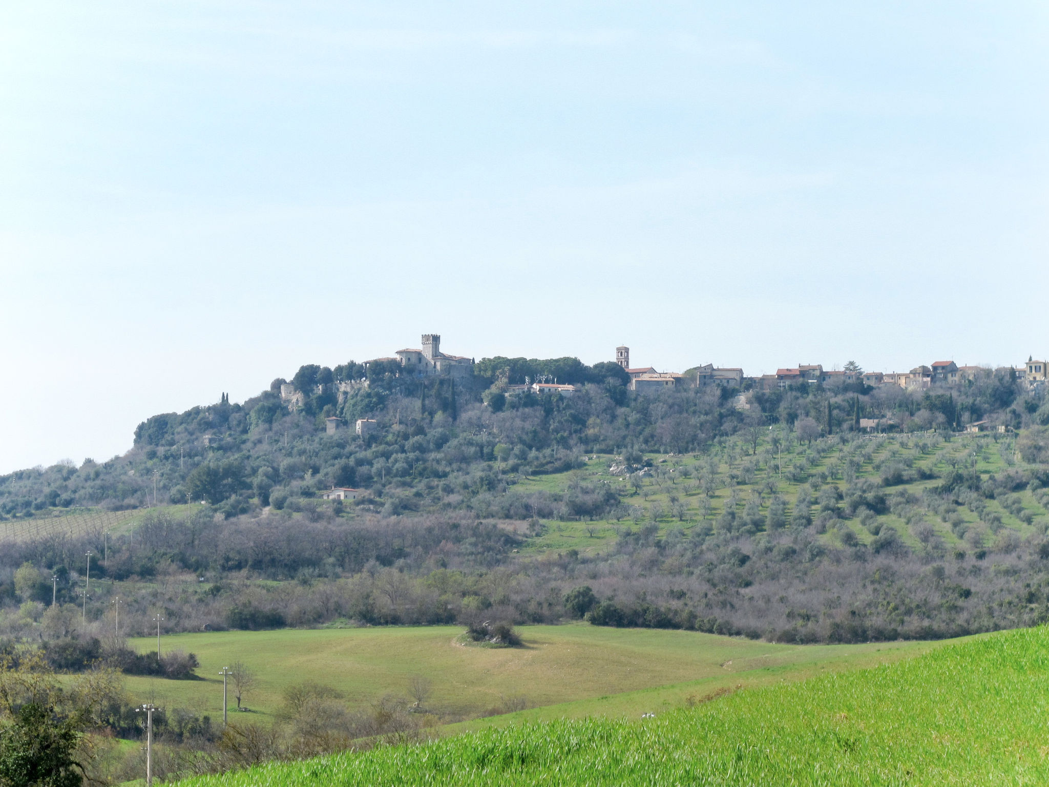 Photo 58 - 5 bedroom House in Manciano with private pool and garden