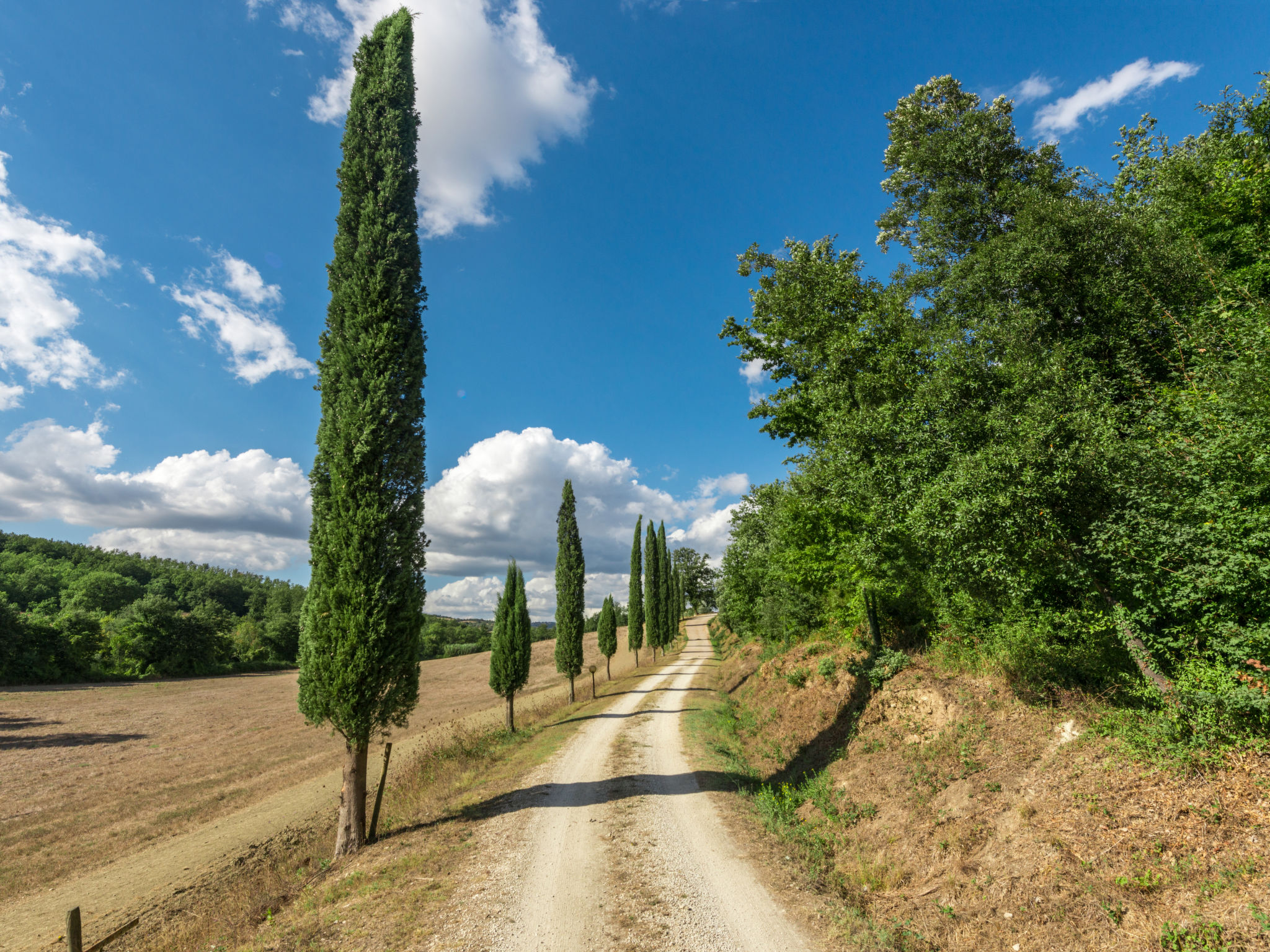 Photo 36 - 4 bedroom House in Manciano with private pool and garden