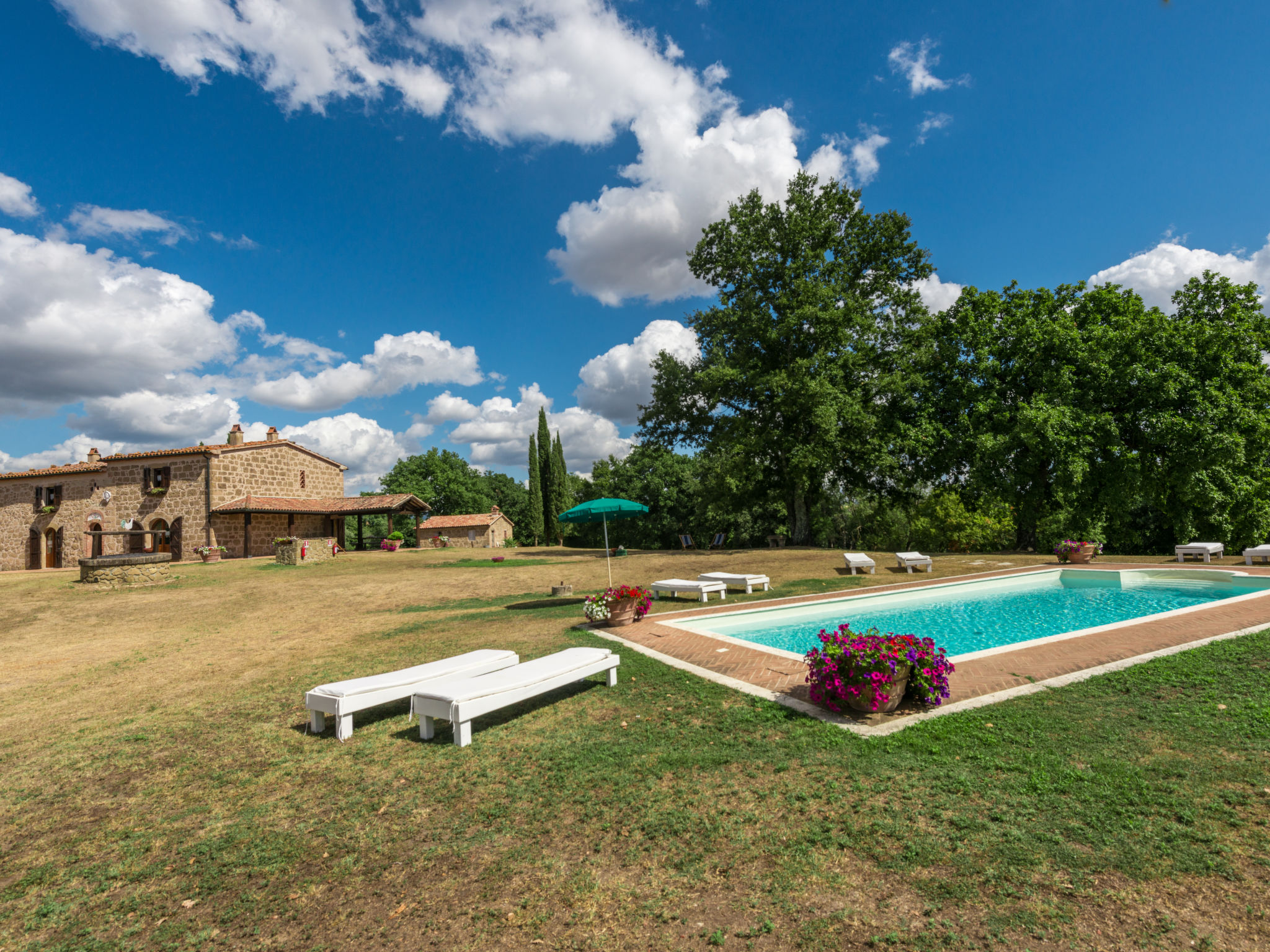 Photo 33 - 4 bedroom House in Manciano with private pool and garden