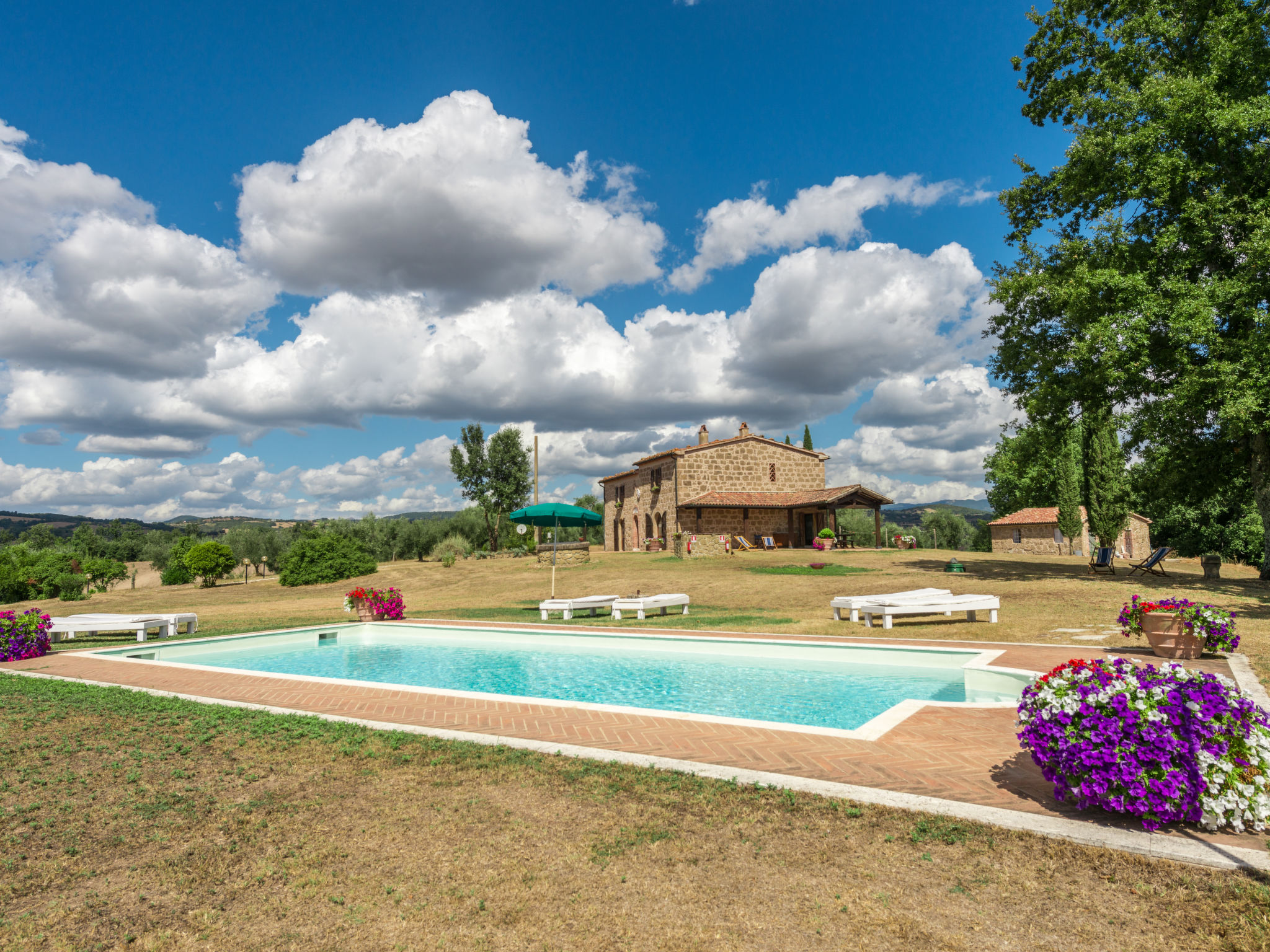 Photo 32 - 4 bedroom House in Manciano with private pool and garden