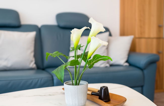 Apartamento de 3 quartos em Lahnstein com piscina e sauna - Foto 8