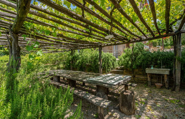 Casa de 2 quartos em Cinigiano com piscina e jardim - Foto 42