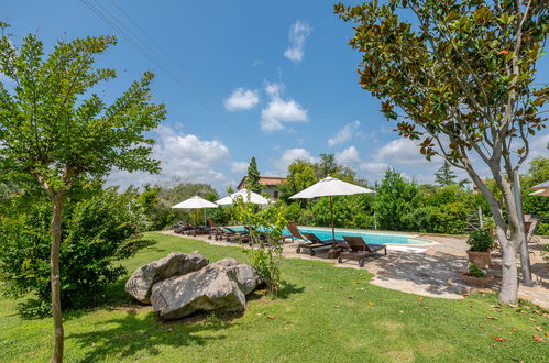 Photo 32 - Maison de 1 chambre à Cinigiano avec piscine et jardin