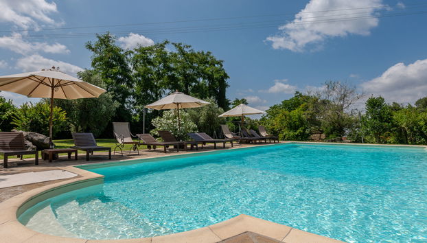 Casa de 2 quartos em Cinigiano com piscina e jardim - Foto 4