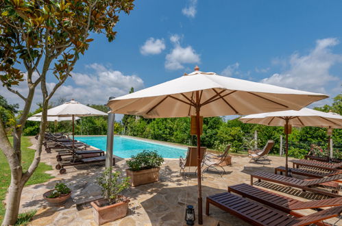 Foto 2 - Casa de 1 quarto em Cinigiano com piscina e jardim