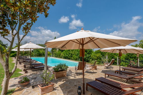 Photo 2 - Maison de 1 chambre à Cinigiano avec piscine et jardin