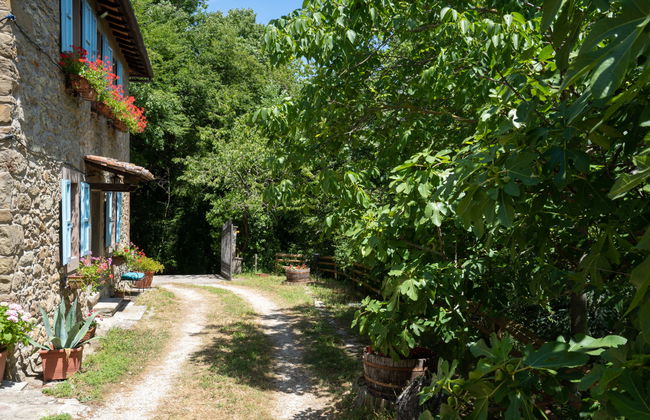 Haus mit 4 Schlafzimmern in Borgo San Lorenzo mit privater pool und garten - Foto 38