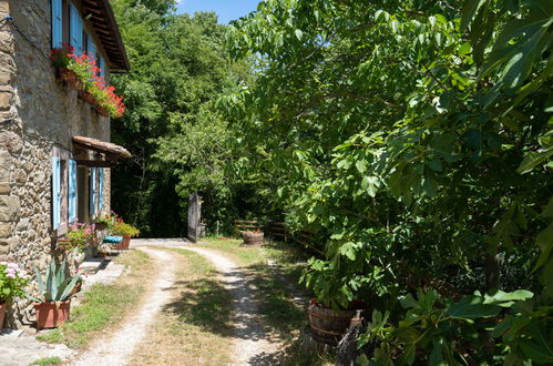 Foto 38 - Casa con 3 camere da letto a Borgo San Lorenzo con piscina privata e giardino