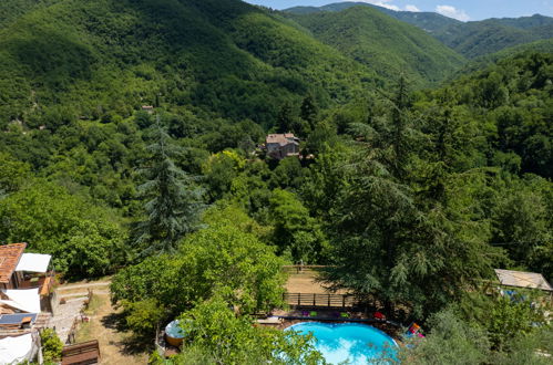 Foto 40 - Casa de 3 habitaciones en Borgo San Lorenzo con piscina privada y jardín